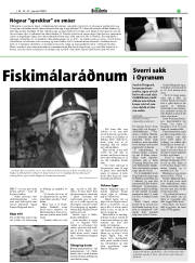 Síða 17