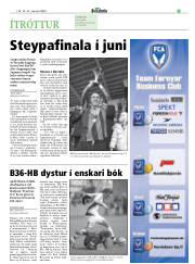 Síða 33