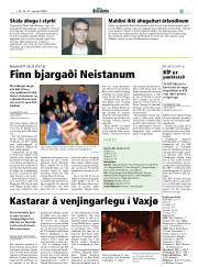 Síða 35