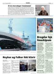 Síða 29