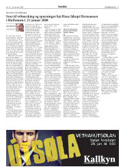 Síða 15