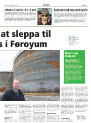 Síða 21
