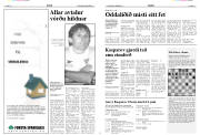 Síða 13