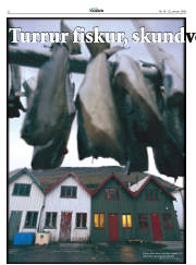 Síða 32