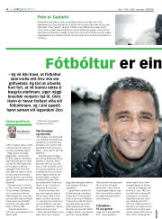 Síða 4