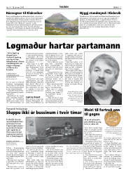 Síða 17