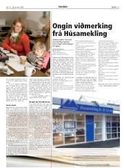 Síða 21