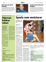 Síða 24