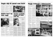 Síða 5