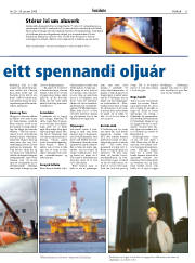Síða 21