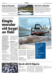 Síða 26