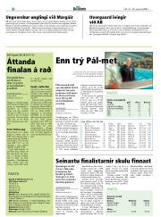 Síða 20