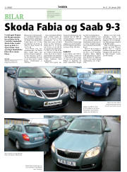 Síða 22
