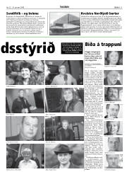 Síða 11