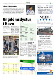 Síða 29