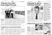 Síða 4