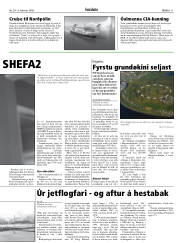 Síða 11