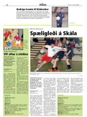 Síða 26