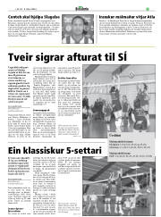 Síða 29