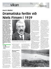 Síða 15