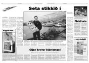 Síða 8