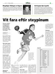 Síða 27