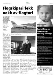 Síða 11