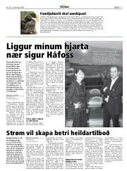 Síða 13
