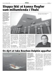 Síða 15
