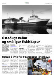 Síða 20