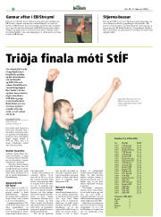 Síða 22