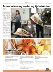 Síða 29