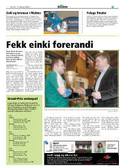 Síða 17