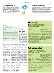 Síða 19