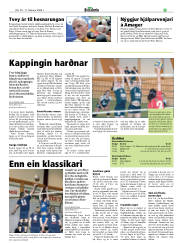 Síða 25