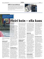 Síða 17