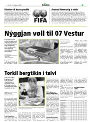 Síða 29