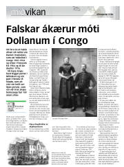 Síða 15