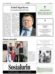 Síða 17