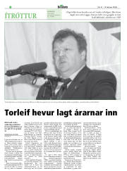 Síða 32