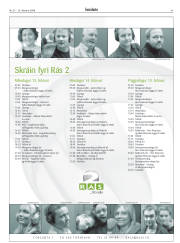 Síða 43