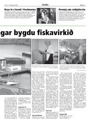 Síða 11