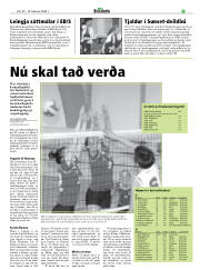 Síða 31