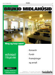 Síða 35