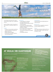 Síða 28