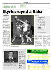 Síða 17