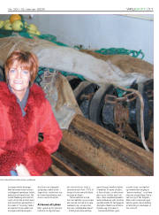 Síða 11
