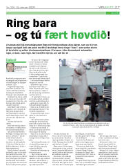 Síða 17