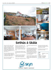 Síða 19