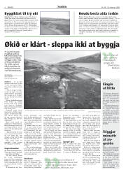 Síða 8
